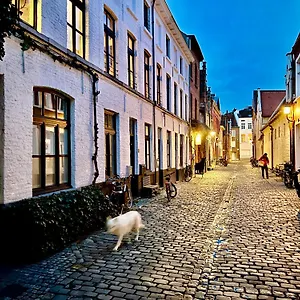 Heaven At 11, Your Deluxe With Personal Bathroom, Kitchenette & Terrace Ghent